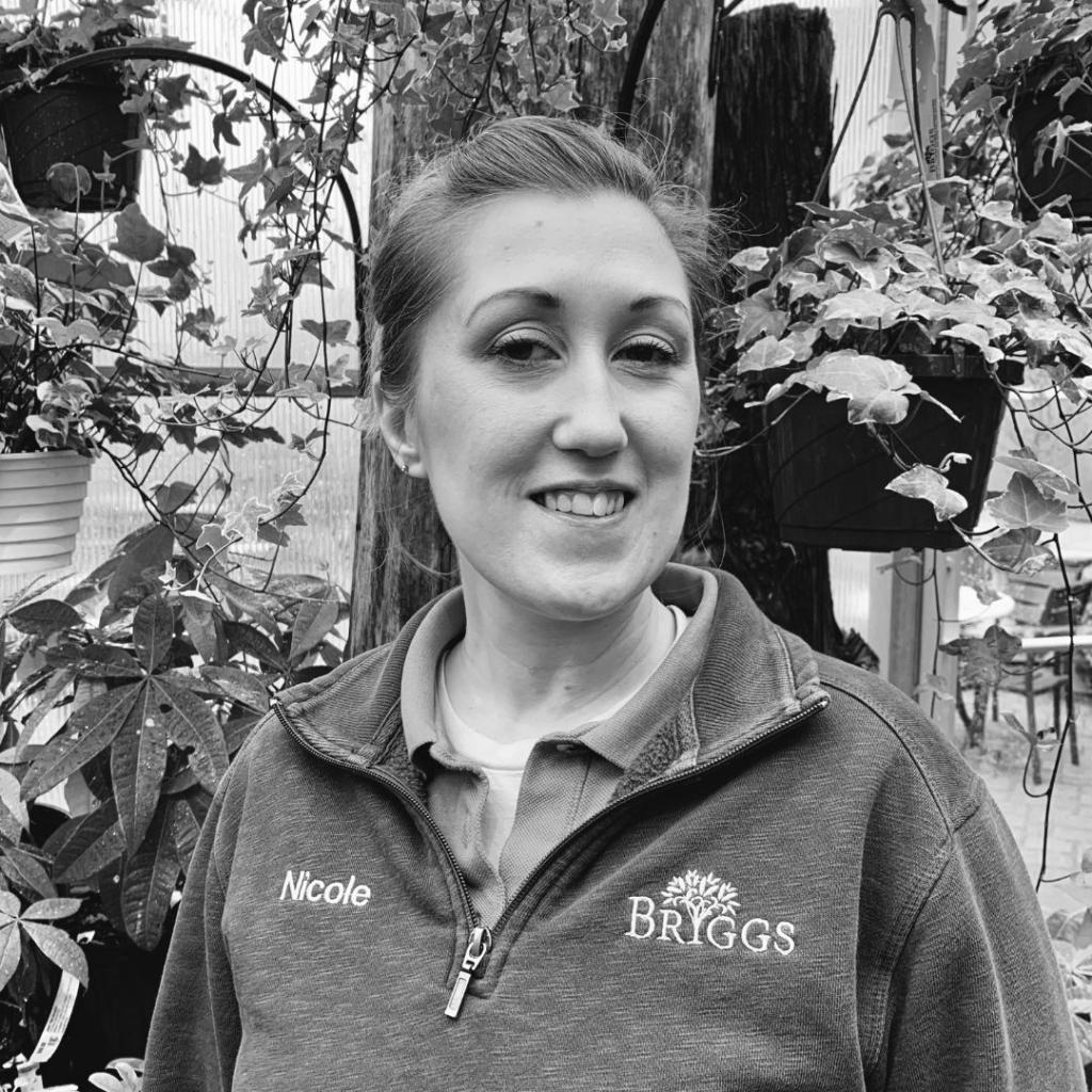 RUDOLPH'S DEER RUN Briggs Garden & Home